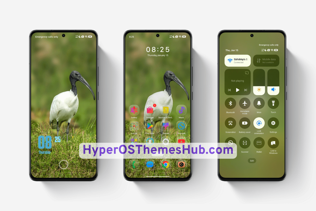 AJ Birds HyperOS Theme